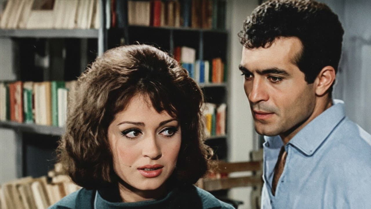 Aşk Yarışı