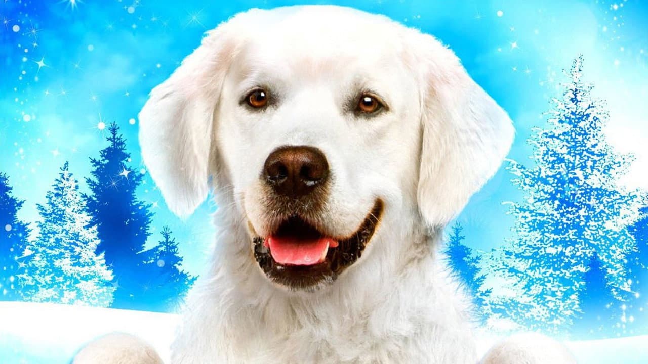 Bailey - O Herói do Natal