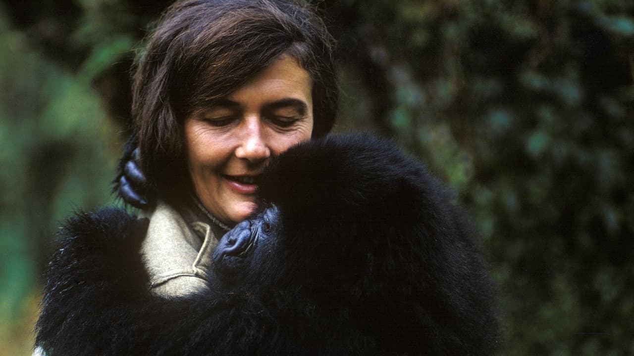 Dian Fossey: Mistérios de uma Vida