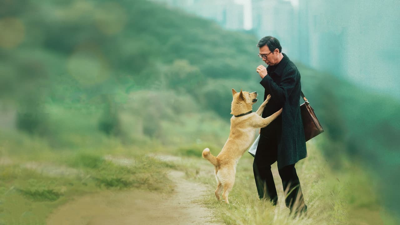 Hachiko Para Sempre