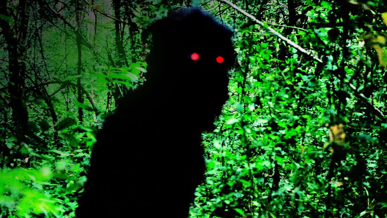 Tio Boonmee, que Pode Recordar Suas Vidas Passadas