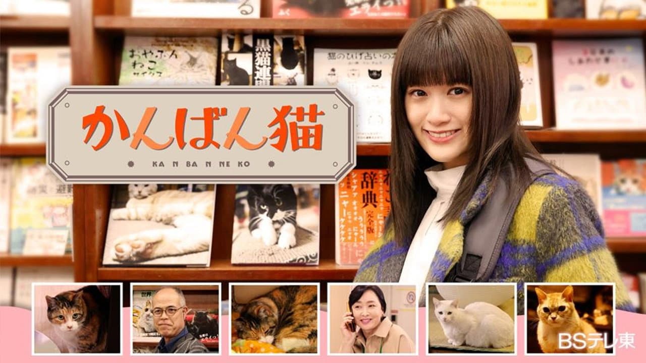 かんばん猫