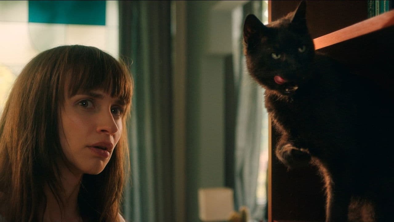 Ele é Um Gato!