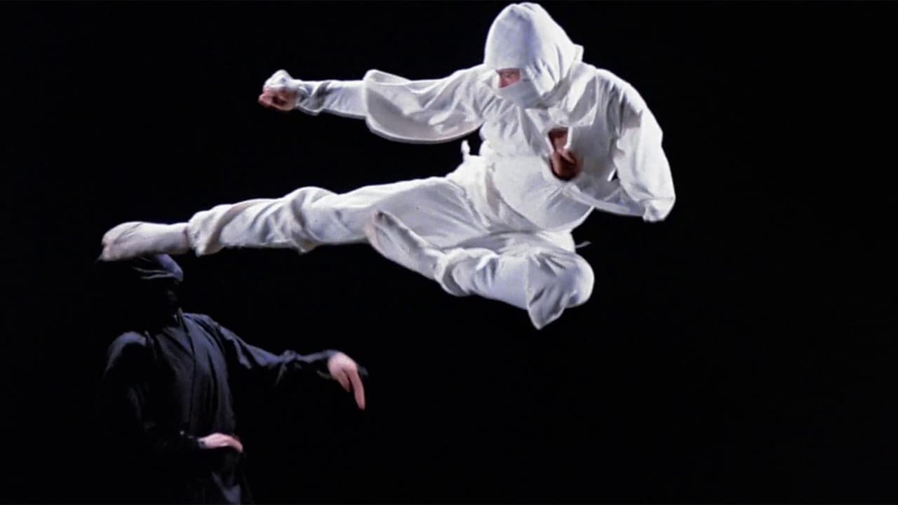 Ninja, a Máquina Assassina