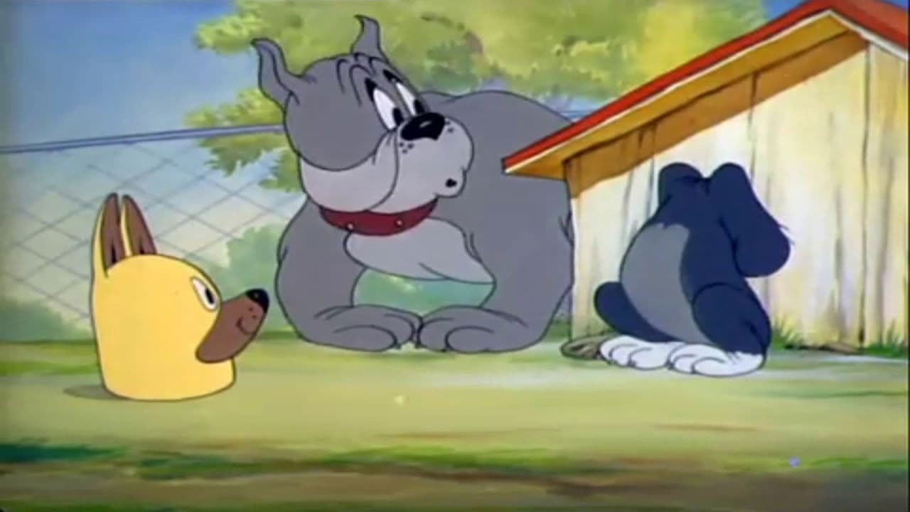 Disfarçando um Cão