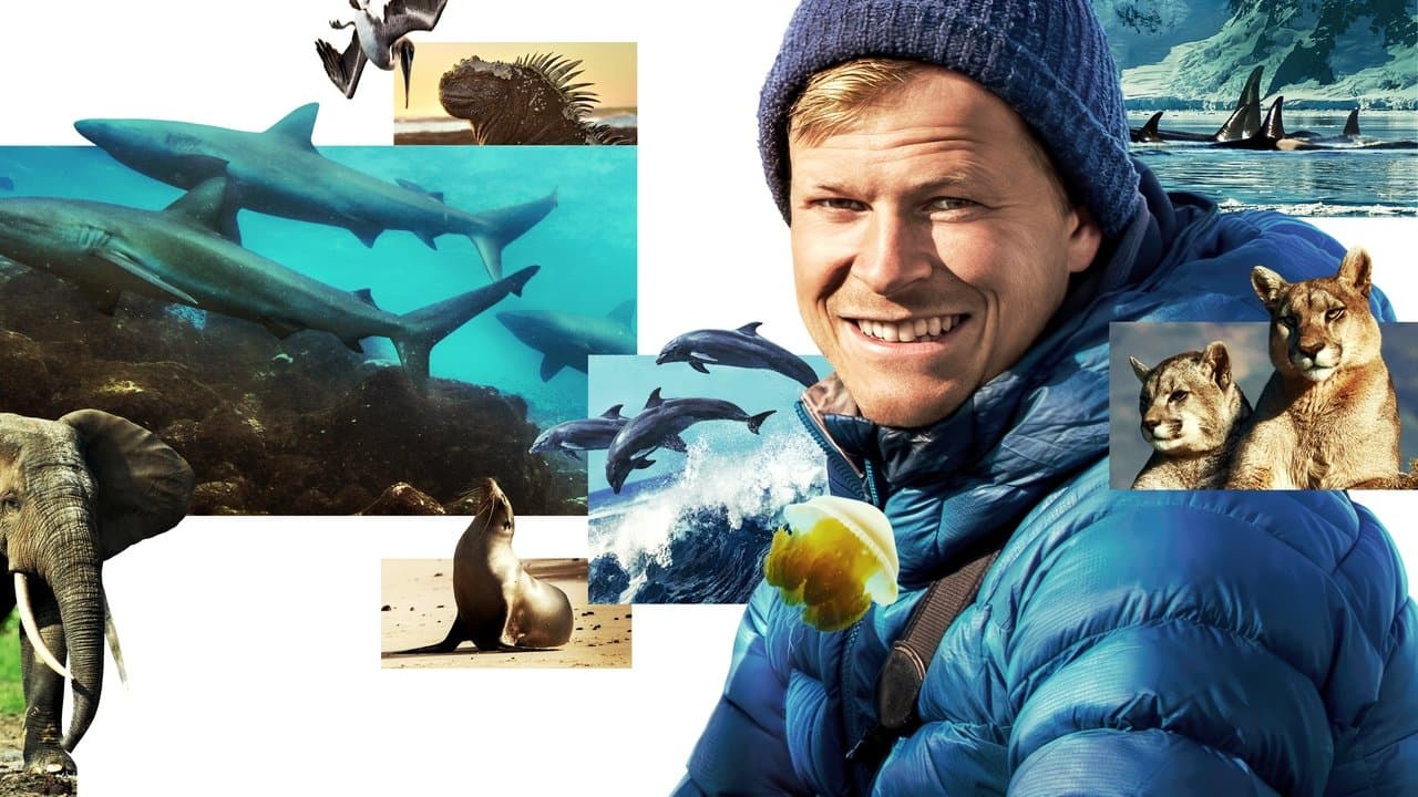 Animais de Perto com Bertie Gregory