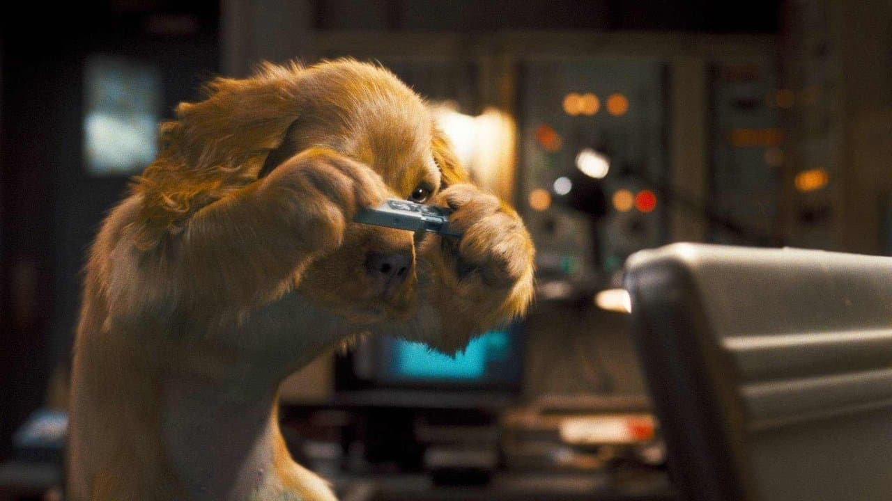 Como Cães e Gatos 2: A Vingança de Kitty Galore