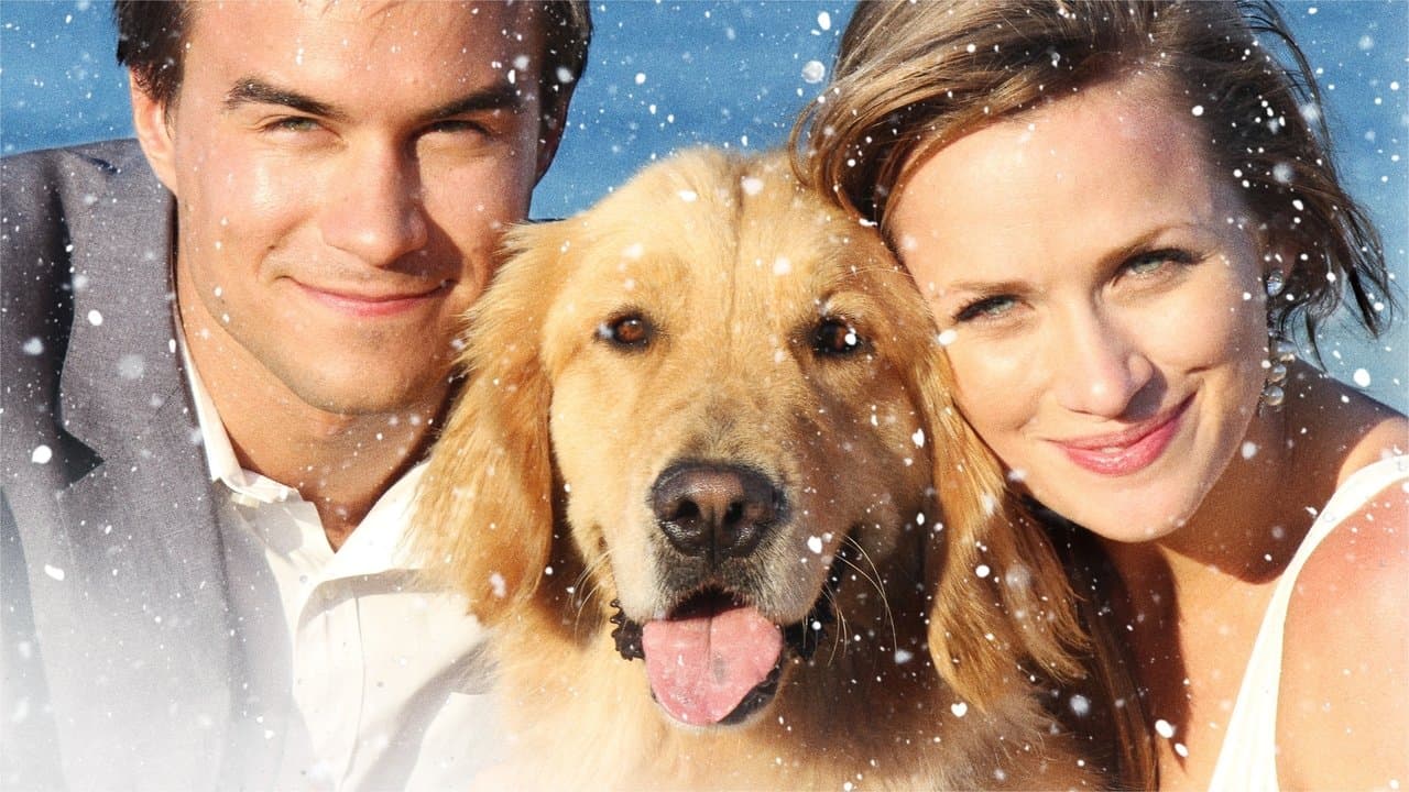 Amor de Natal
