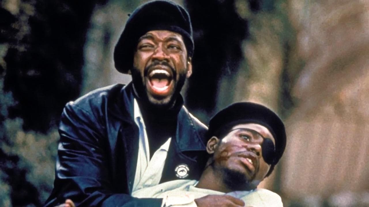 Panteras Negras