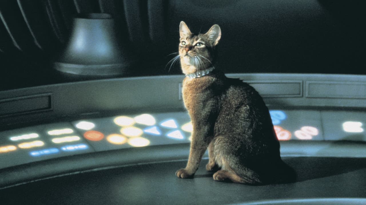 O Gato Que Veio do Espaço