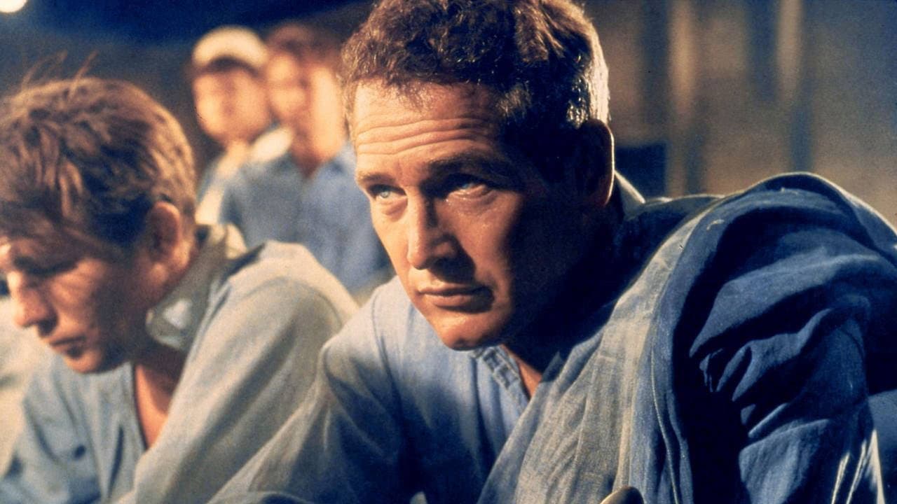 Paul Newman, l'intranquille