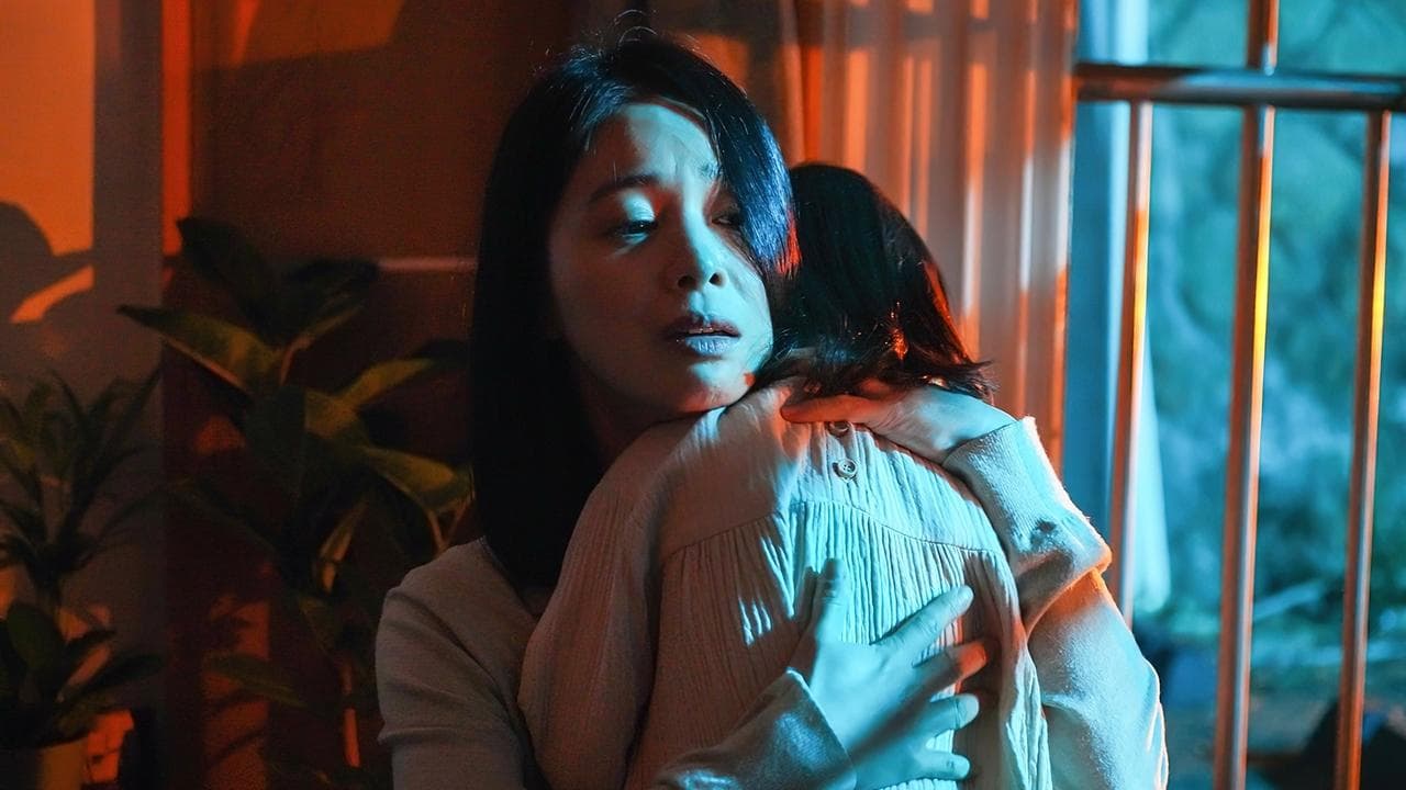 뒤틀린 집