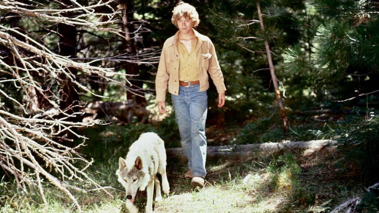 Meu Amigo Lobo