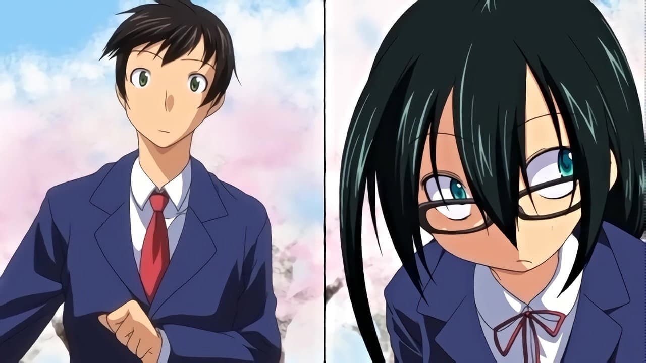 イマコシステム