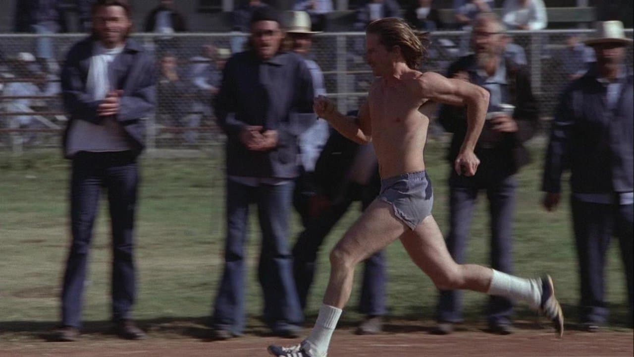 Maratona Final