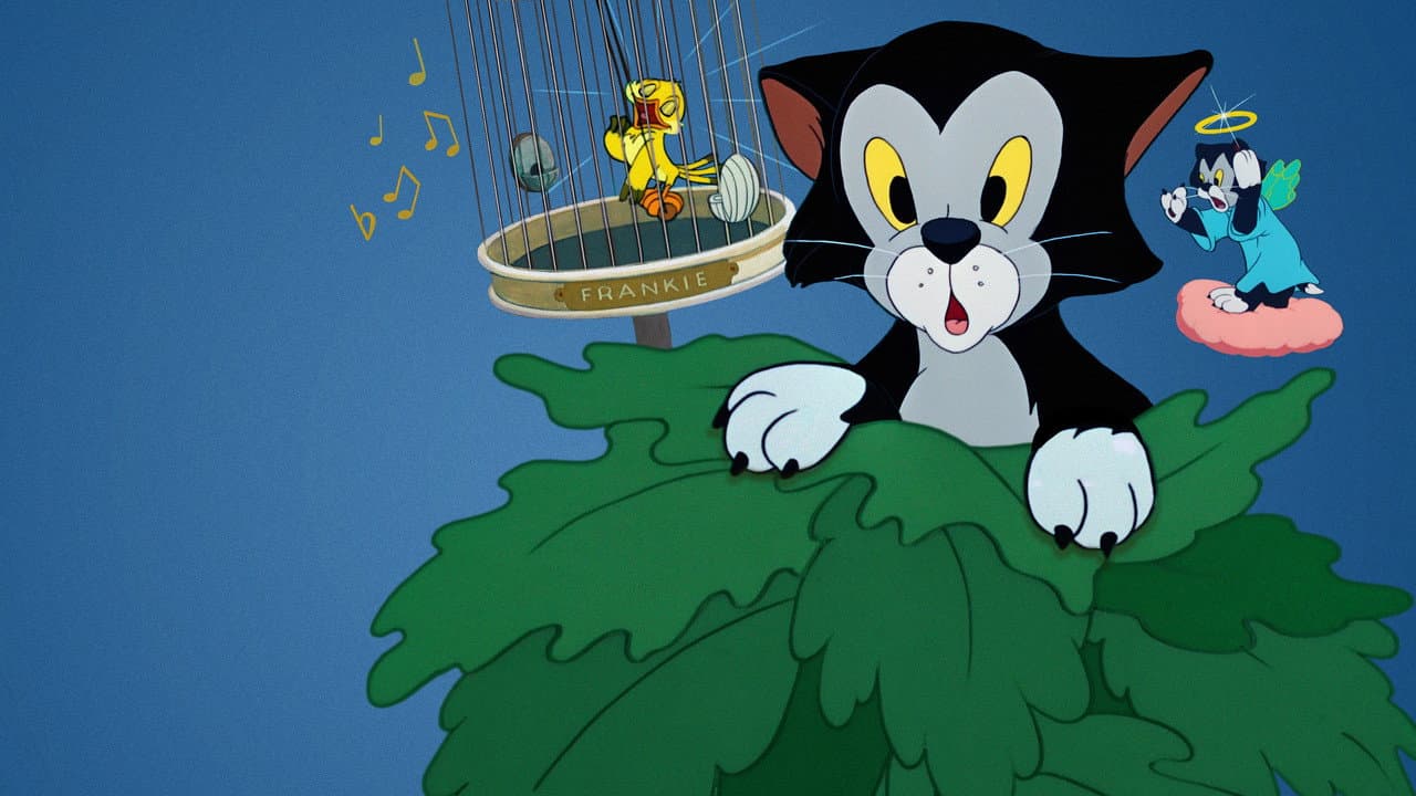 Figaro e Frankie