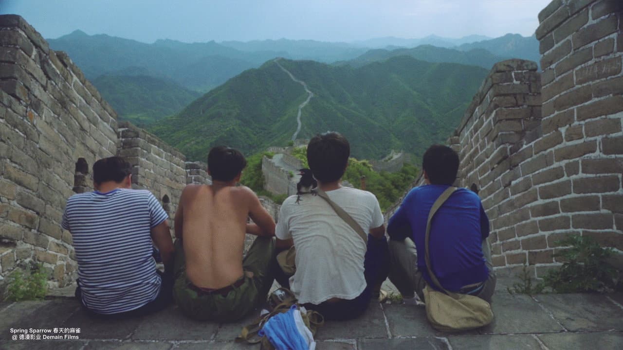 春天的麻雀