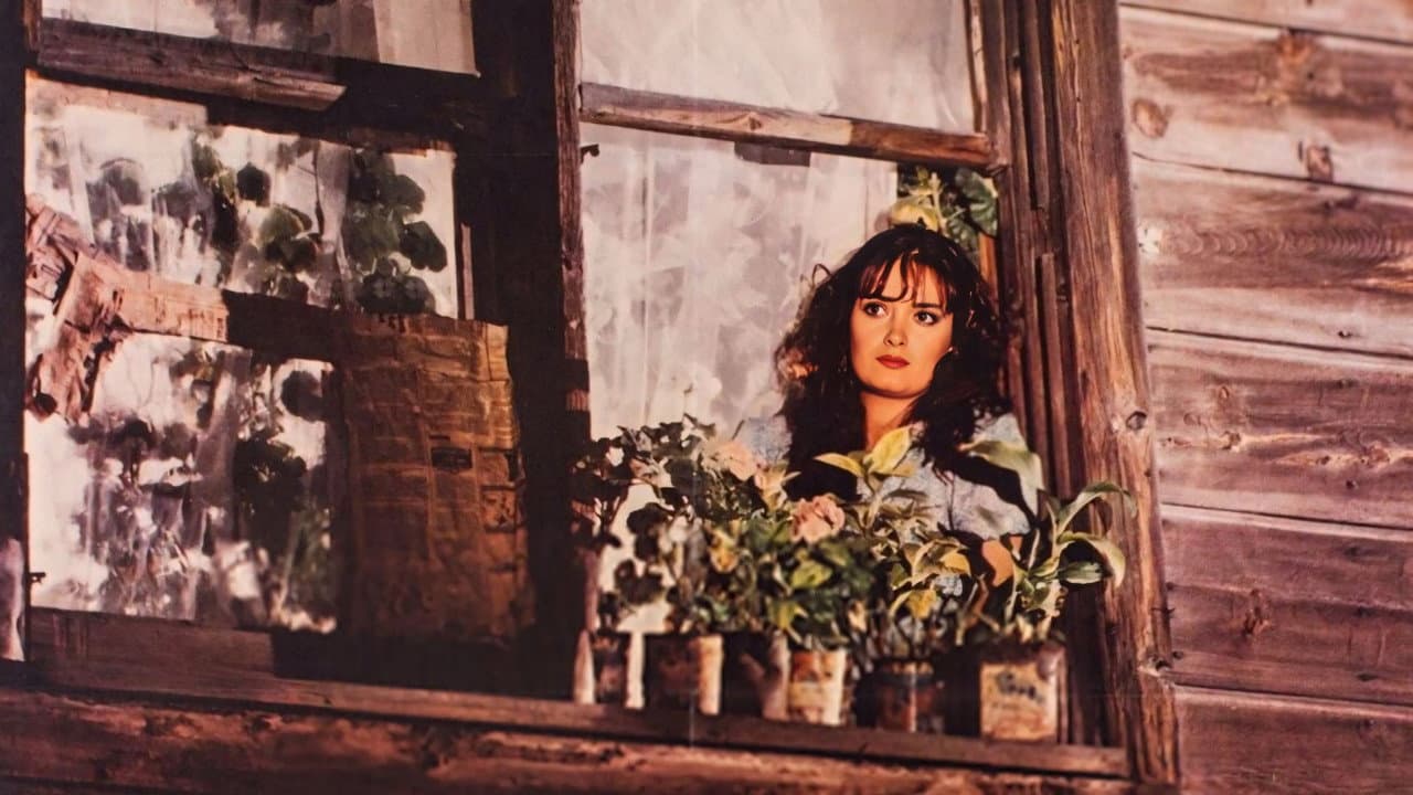 Fahriye Abla