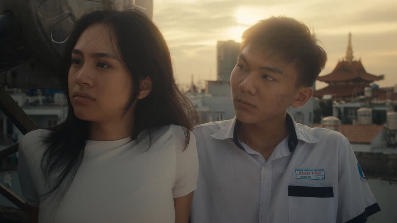 Vẫy Vùng Vội Vã