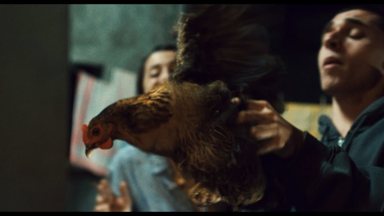 Laissez-moi danser
