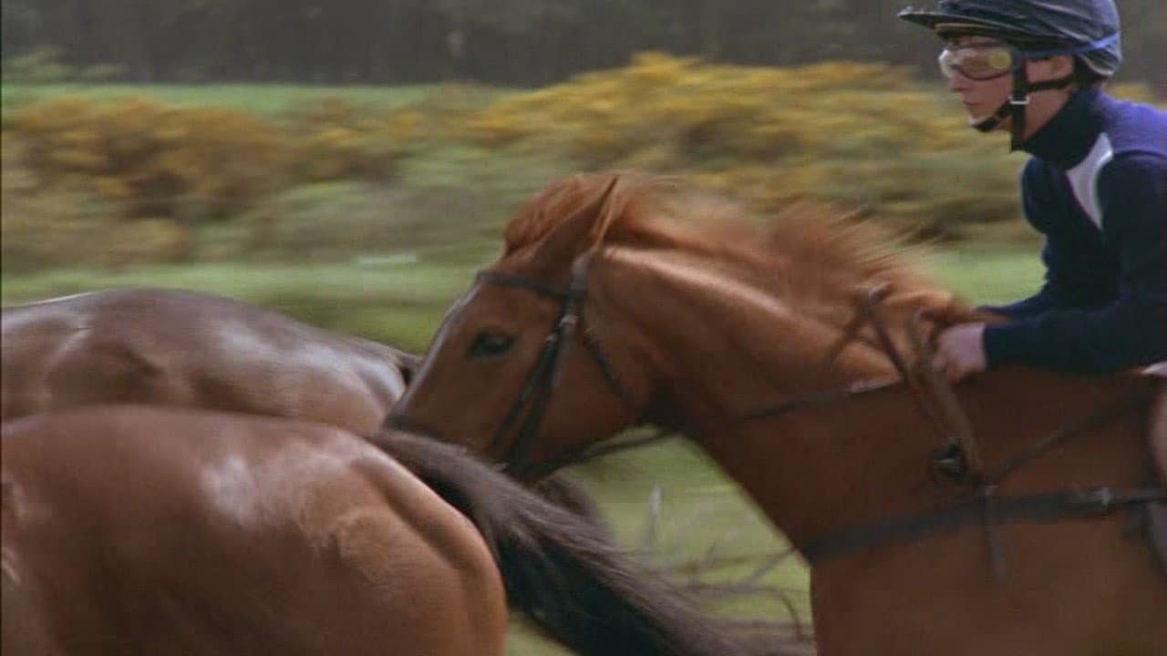 Shergar - O Sequestro de um Campeão