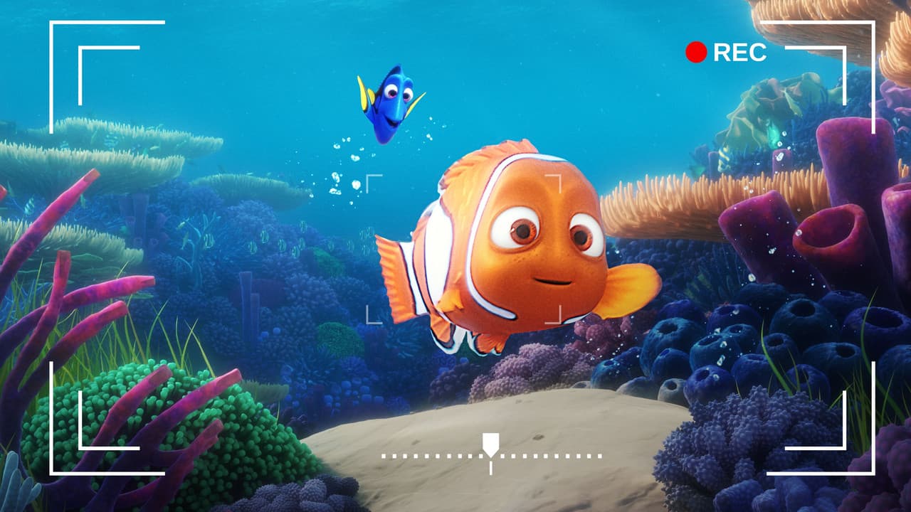 O Recife da Dory