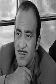 Elsayed Monir