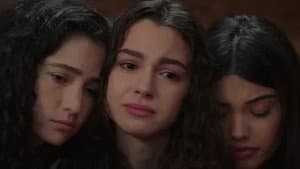 Episódio 15