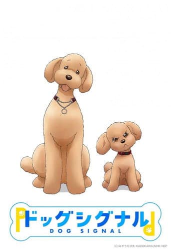Dog Signal