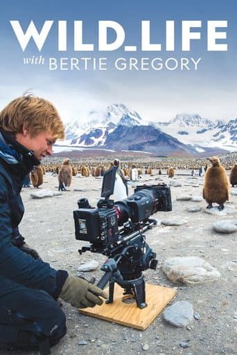 Vida Selvagem com Bertie Gregory