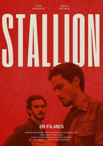 Stallion