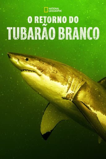 O Retorno do Tubarão Branco
