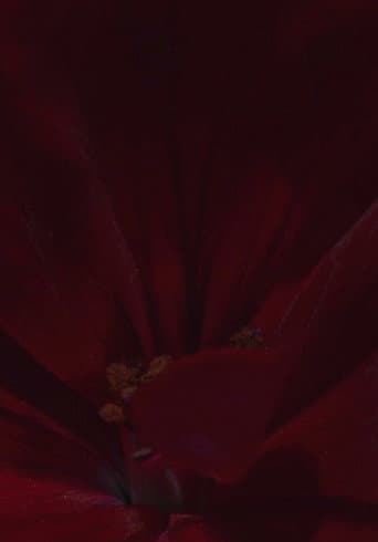 Flowerbed