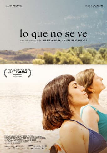 Lo que no se ve