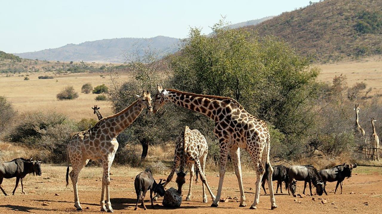 África do Sul Selvagem