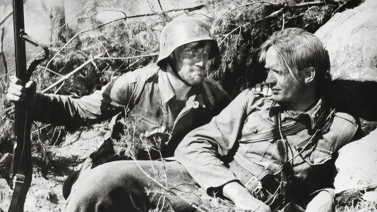 O Soldado Desconhecido