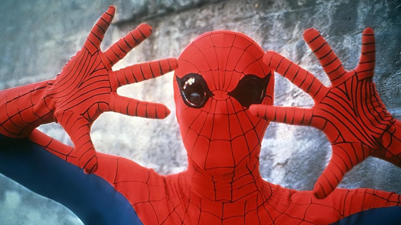 Homem-Aranha