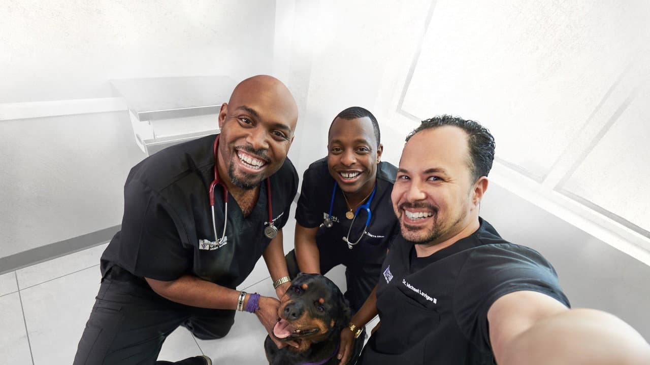 Veterinários do Texas
