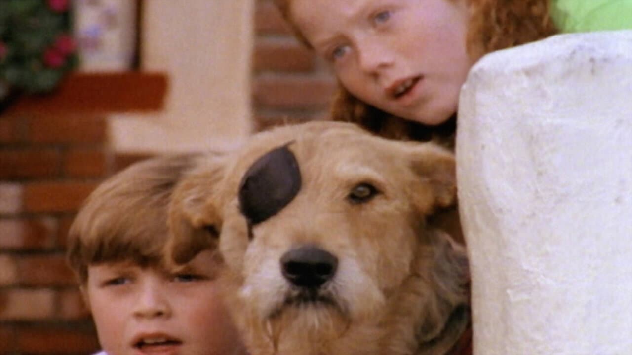Sherlock Bones - O Cão Detetive
