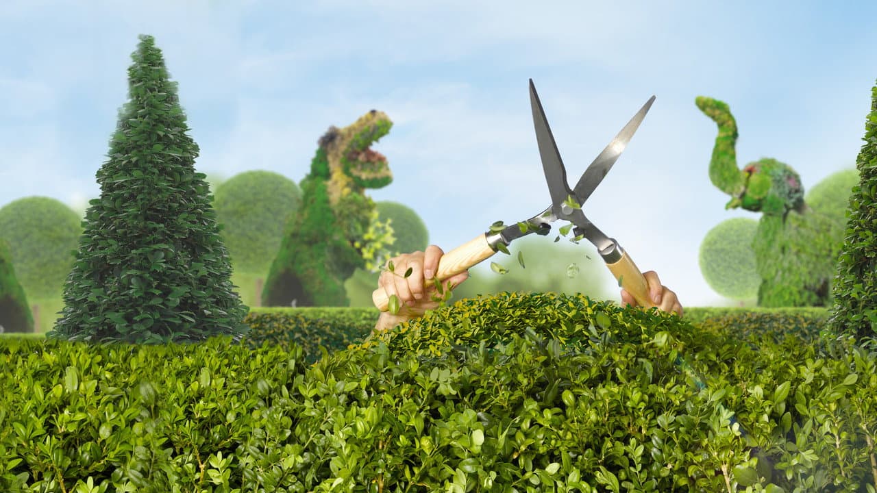 Clipped: Esculpindo Plantas