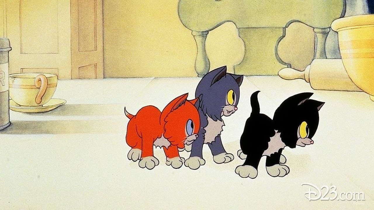 Três Gatinhos Órfãos
