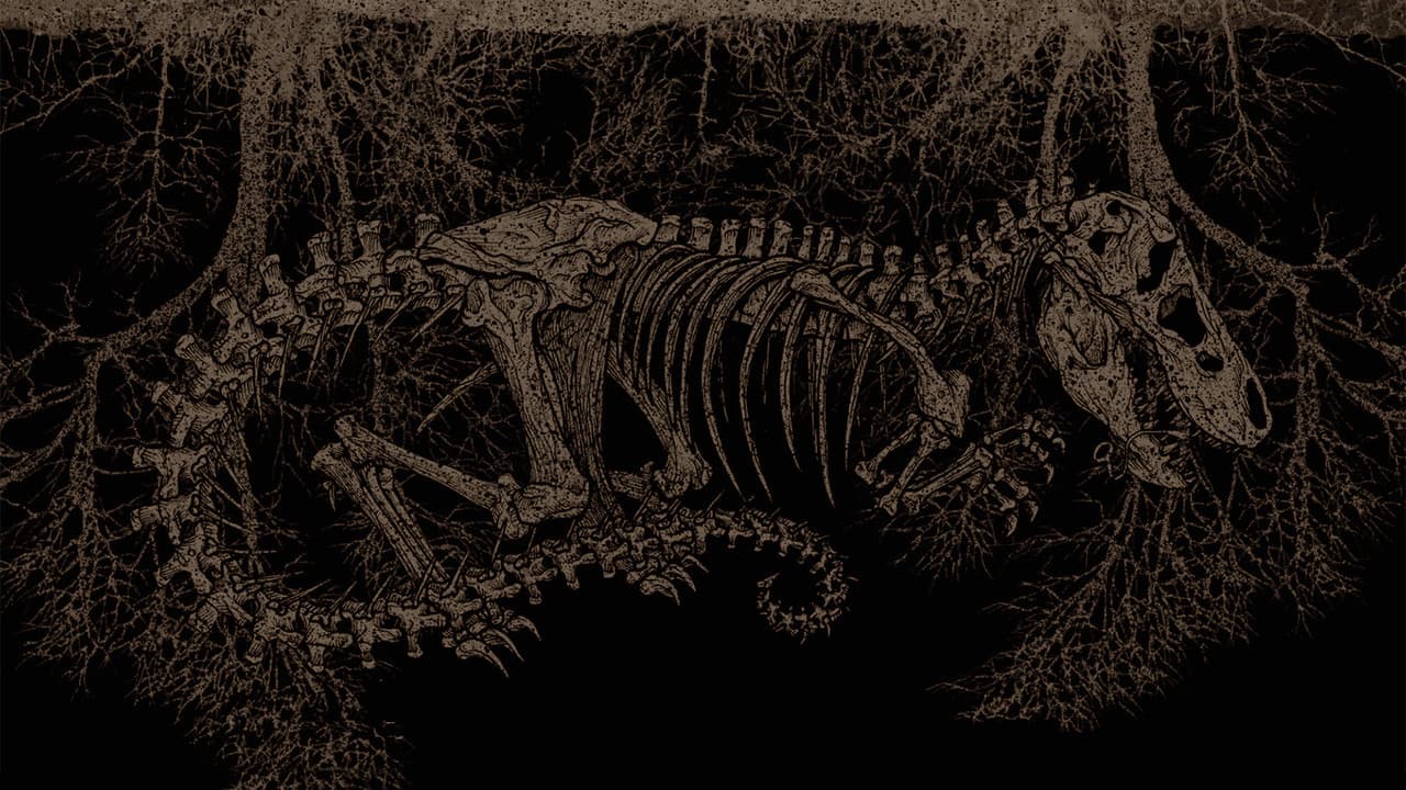 Tiranossauro