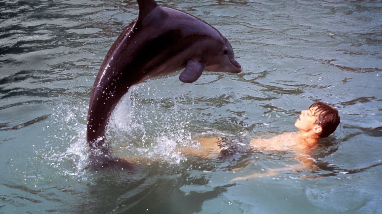 As Novas Aventuras de Flipper