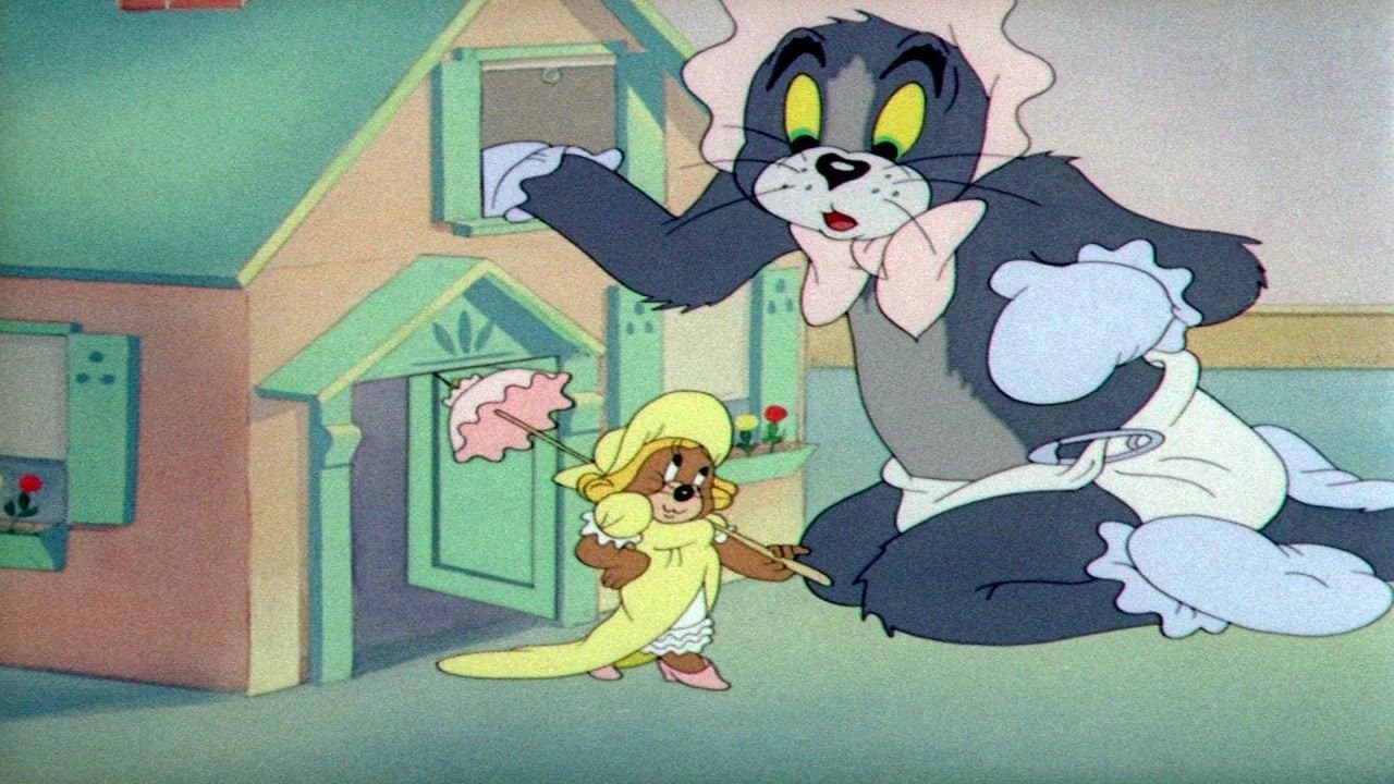 O Gatinho