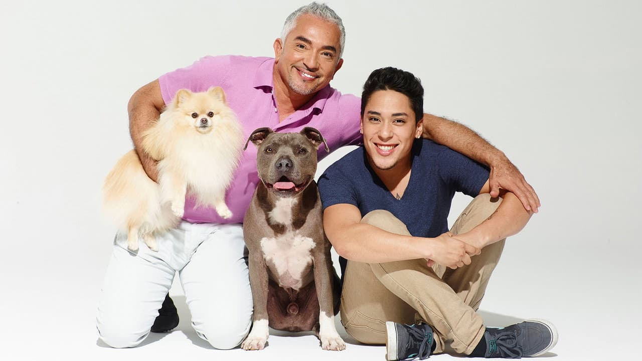 Nação dos Cães com Cesar Millan