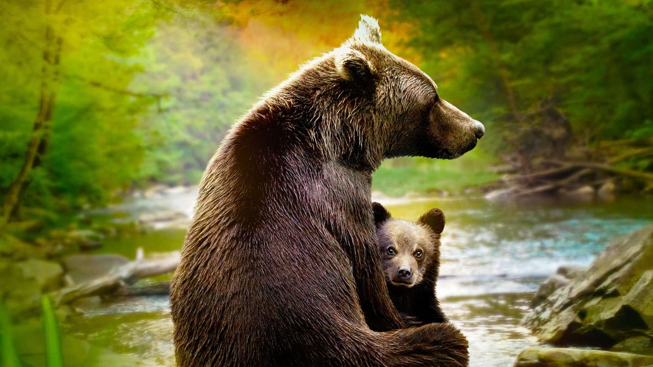 O Mundo dos Animais