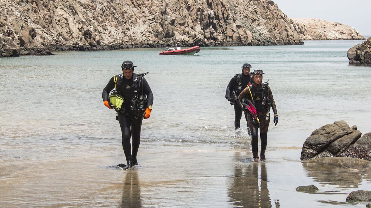 Pacífico: Retorno ao Oceano