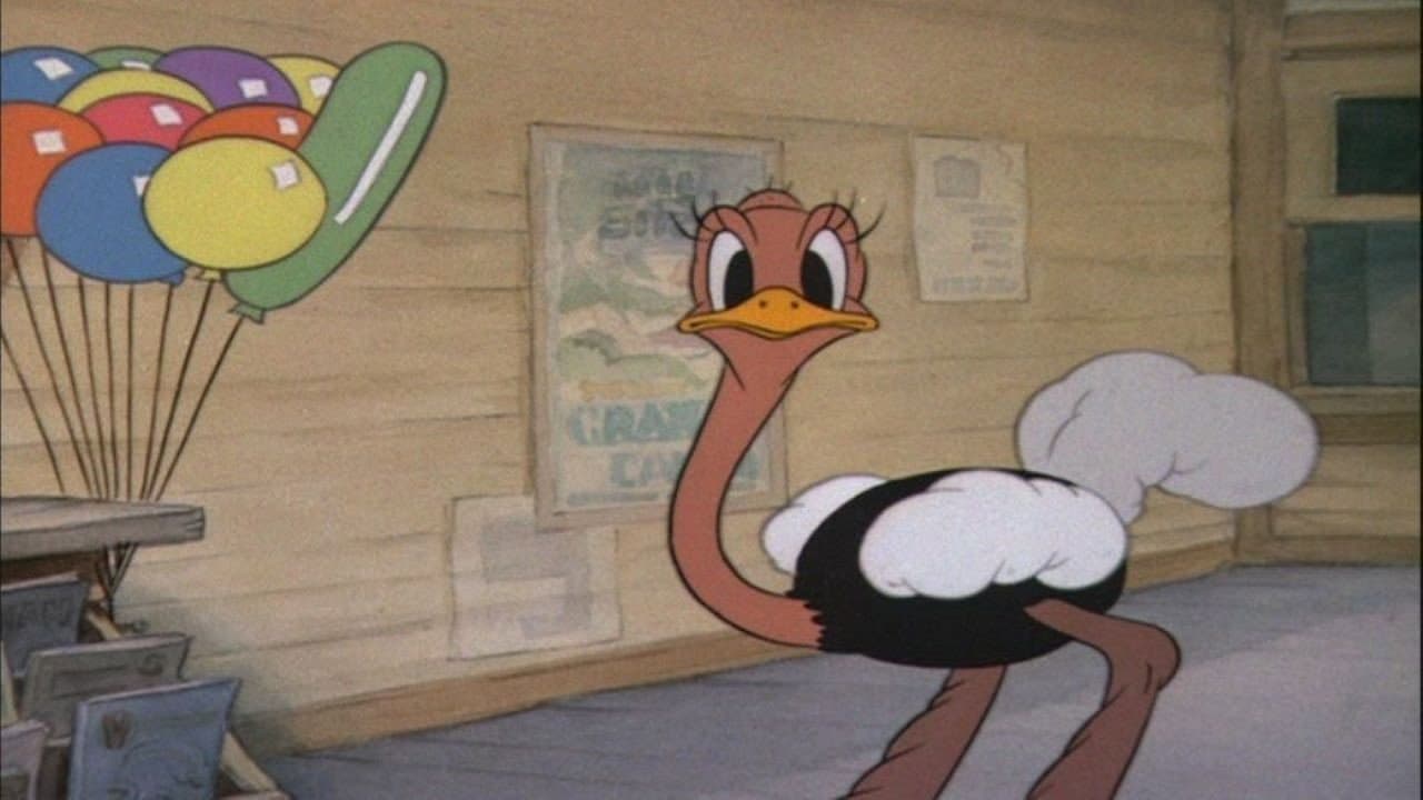 A Avestruz do Donald