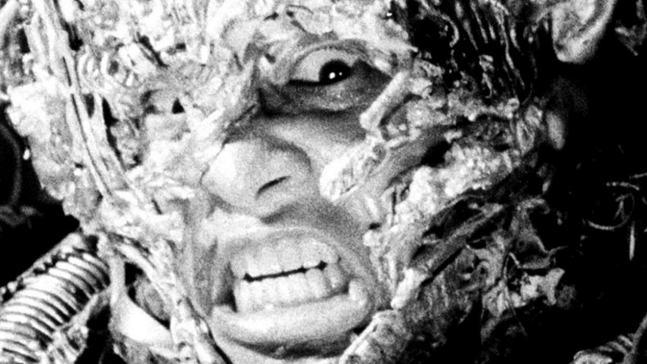 Tetsuo: O Homem de Ferro