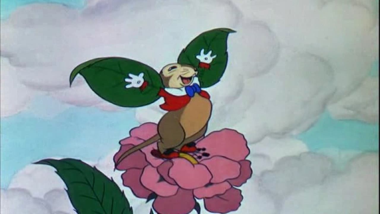 O Rato Voador